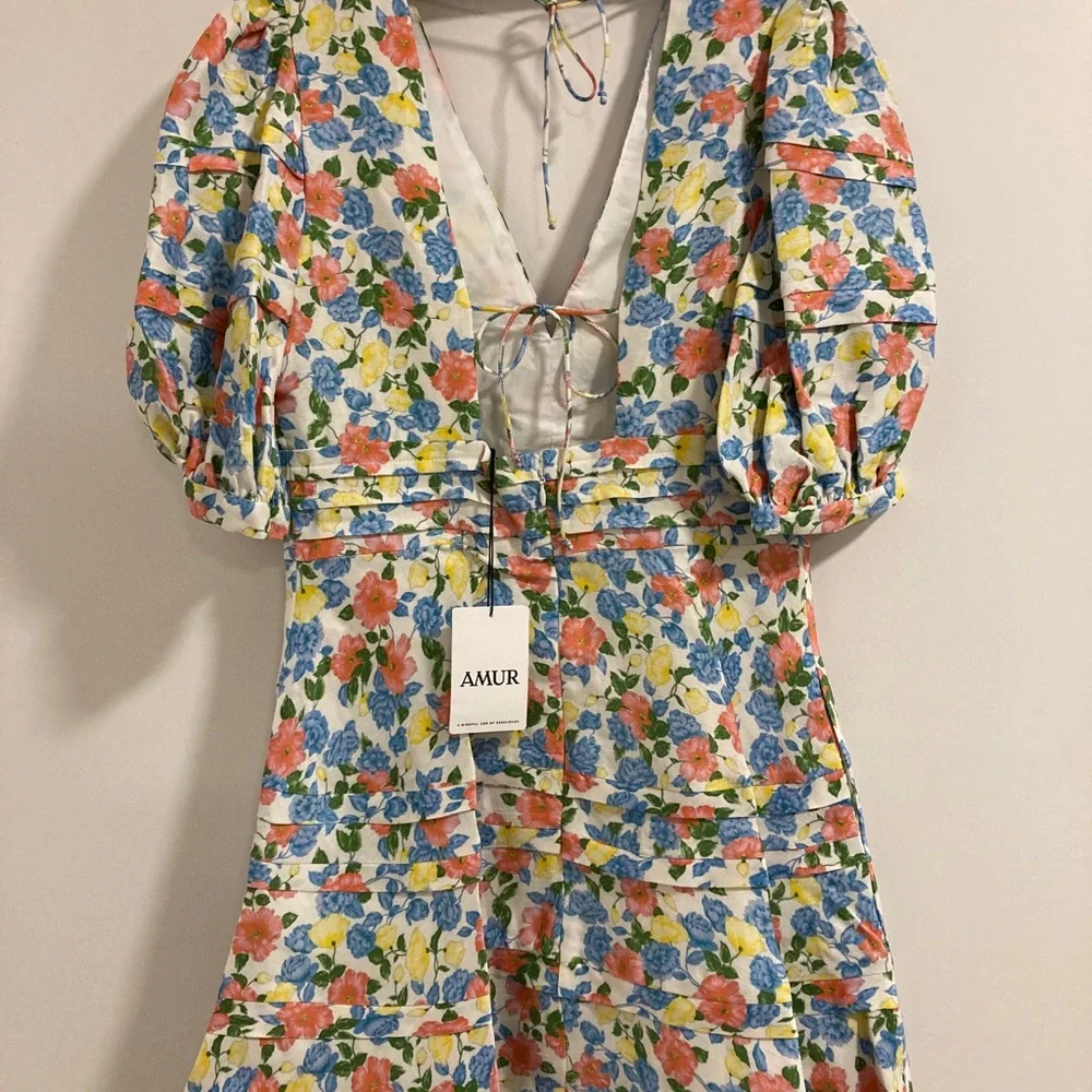 Amur AVIAN Dress Size 10 - Brand New w/tags - Picture 3 of 3